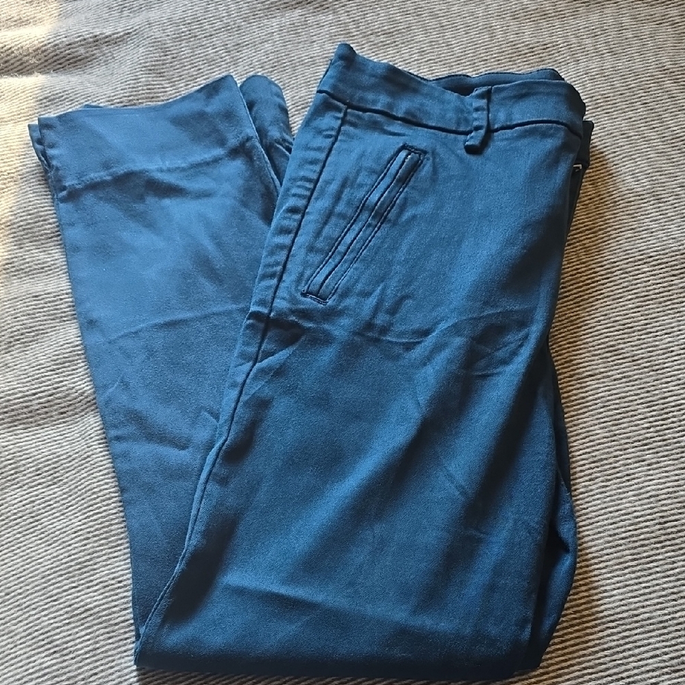 Level 99 Women's Blue Ankle Pants